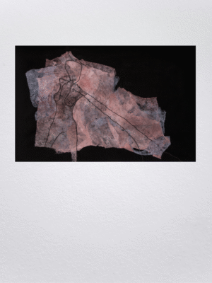 „Beišeinanti siela. Tiesos kontūrai /  Leaving soul. The outlines of truth“