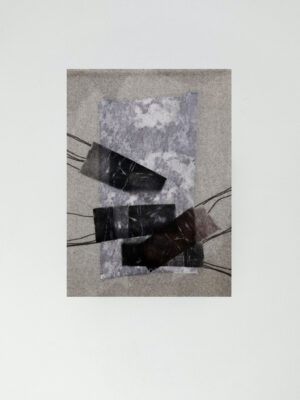 „Pleneras / Plein Air“